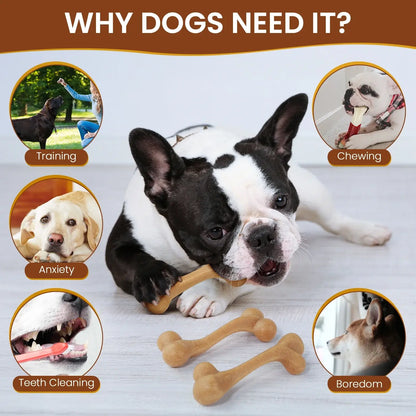 Set of 3 Durable Dog Chew Toys for Aggressive Chewers, Tough Nylon Construction with Natural Tapioca Starch, Dental Care and Interactive Toys for Boredom Relief